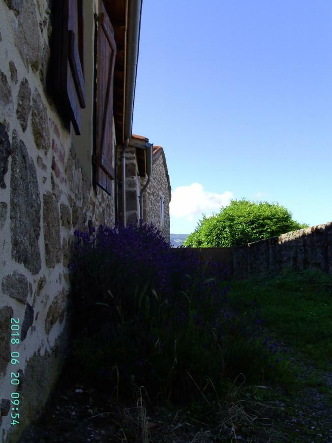 Bed and Breakfast La Fontaine Saint-Georges-en-Couzan Zewnętrze zdjęcie