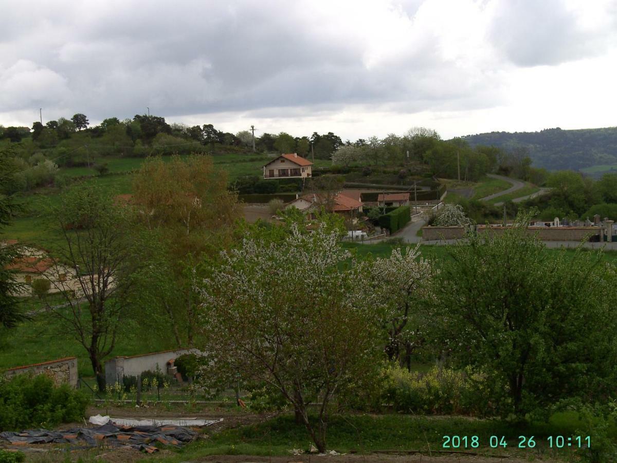 Bed and Breakfast La Fontaine Saint-Georges-en-Couzan Zewnętrze zdjęcie